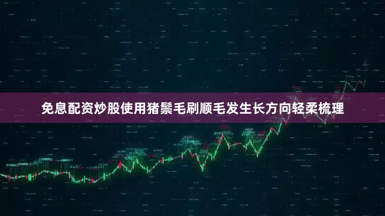 免息配资炒股使用猪鬃毛刷顺毛发生长方向轻柔梳理