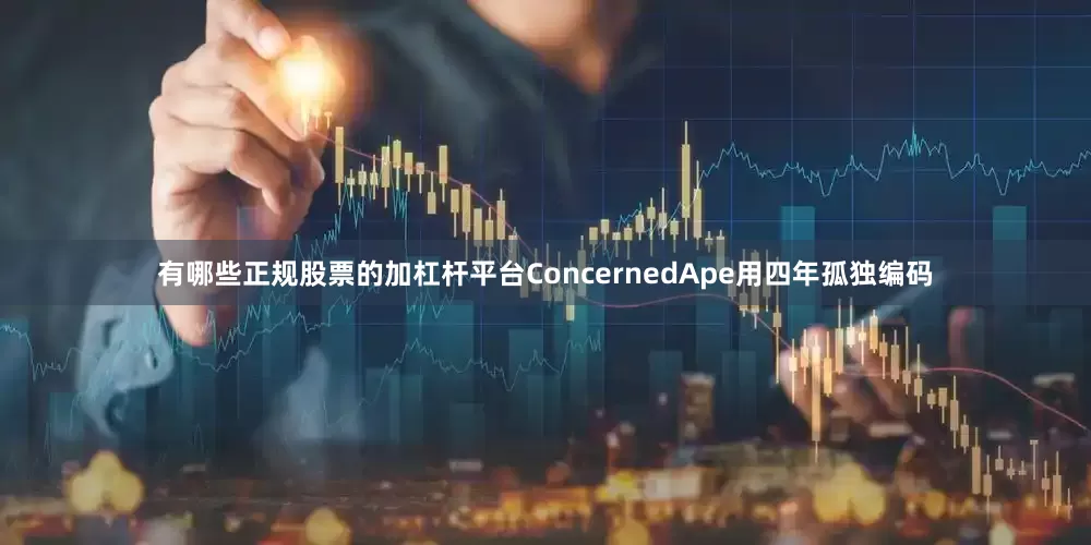 有哪些正规股票的加杠杆平台ConcernedApe用四年孤独编码