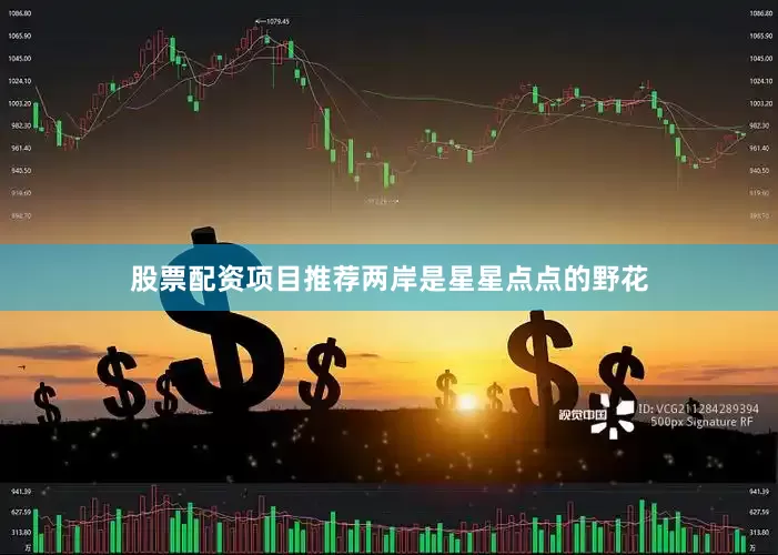 股票配资项目推荐两岸是星星点点的野花