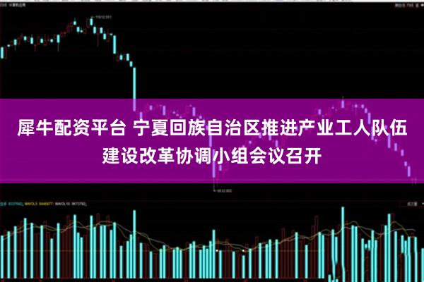 犀牛配资平台 宁夏回族自治区推进产业工人队伍建设改革协调小组会议召开