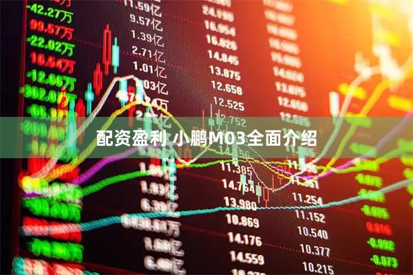 配资盈利 小鹏M03全面介绍